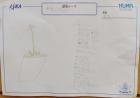 2024kokubunji-k003.jpg